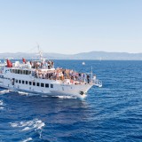 Czernichow-folder_2024F_net-s.14