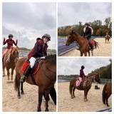 64FBF6A7-55A3-455D-B4F5-1F59ED9722D6-COLLAGE